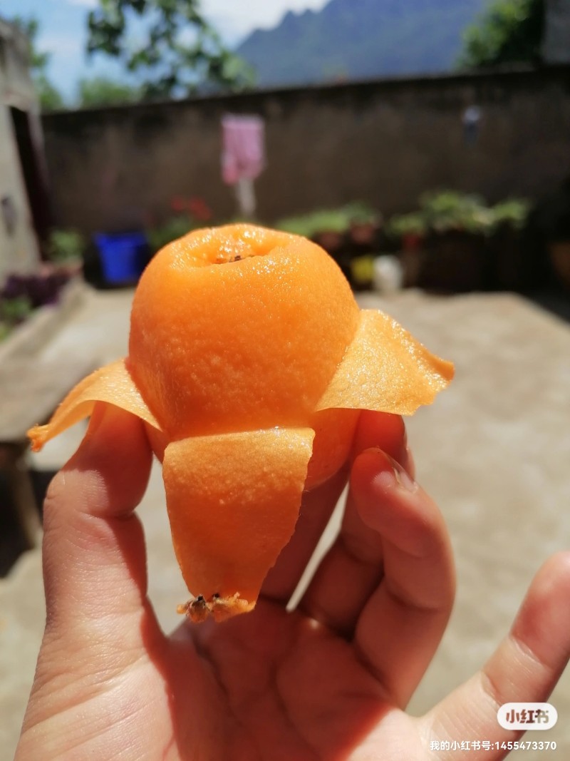 枇杷