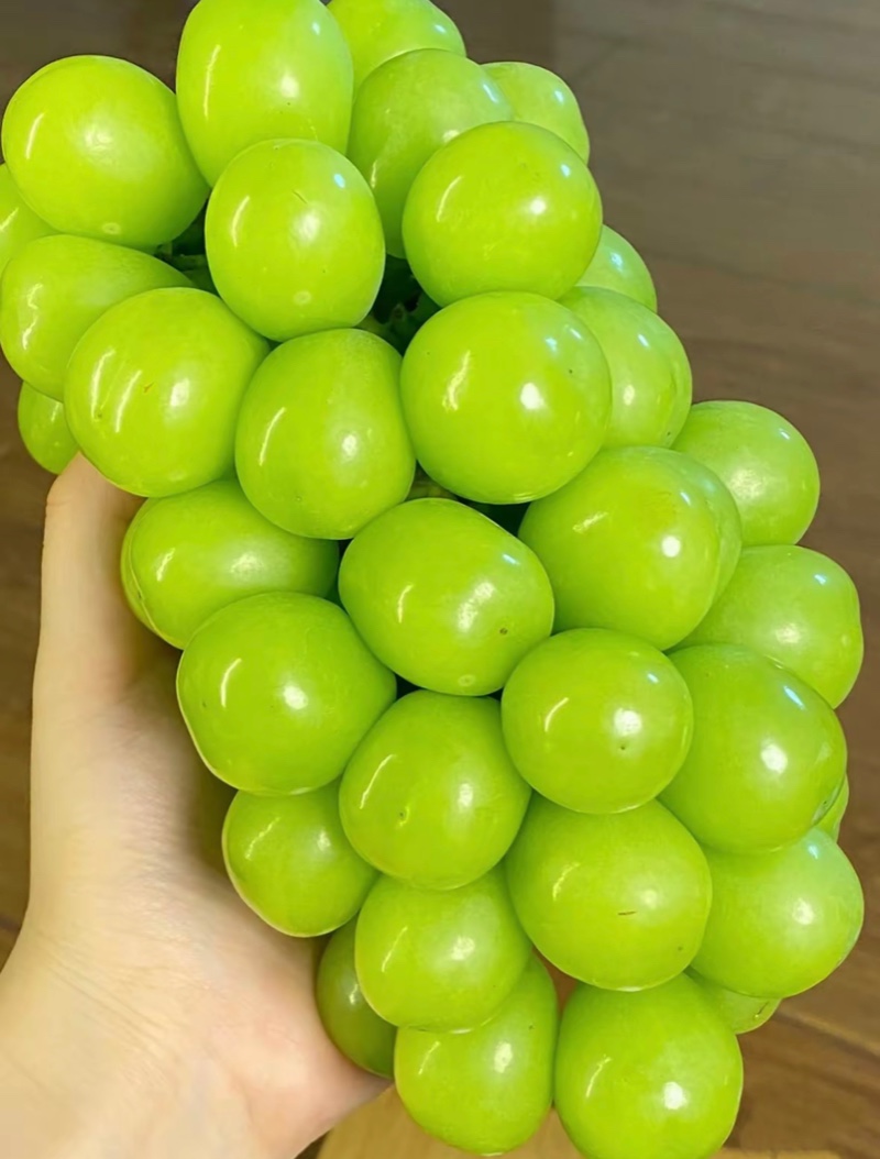 葡萄