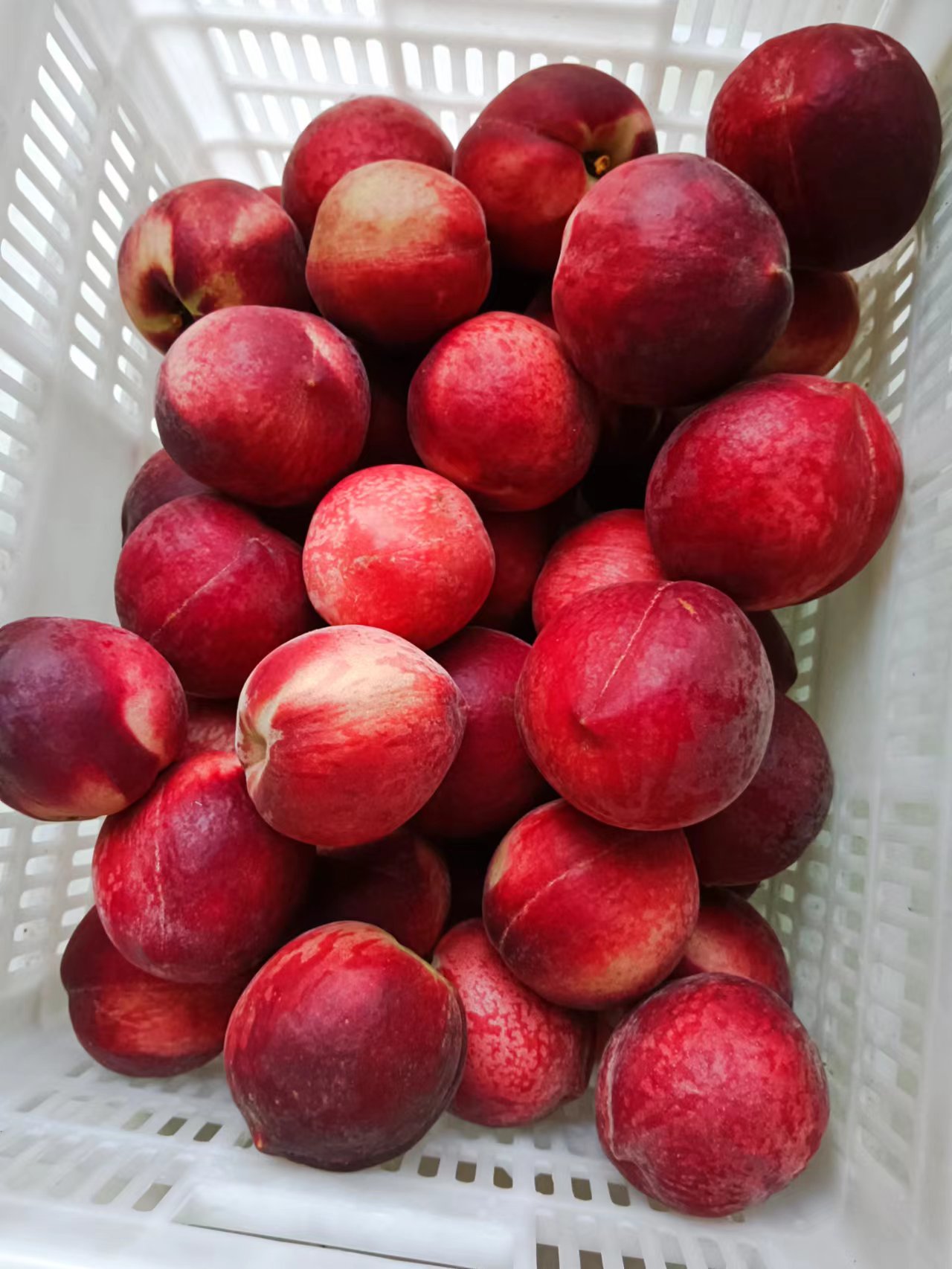 蜜桃