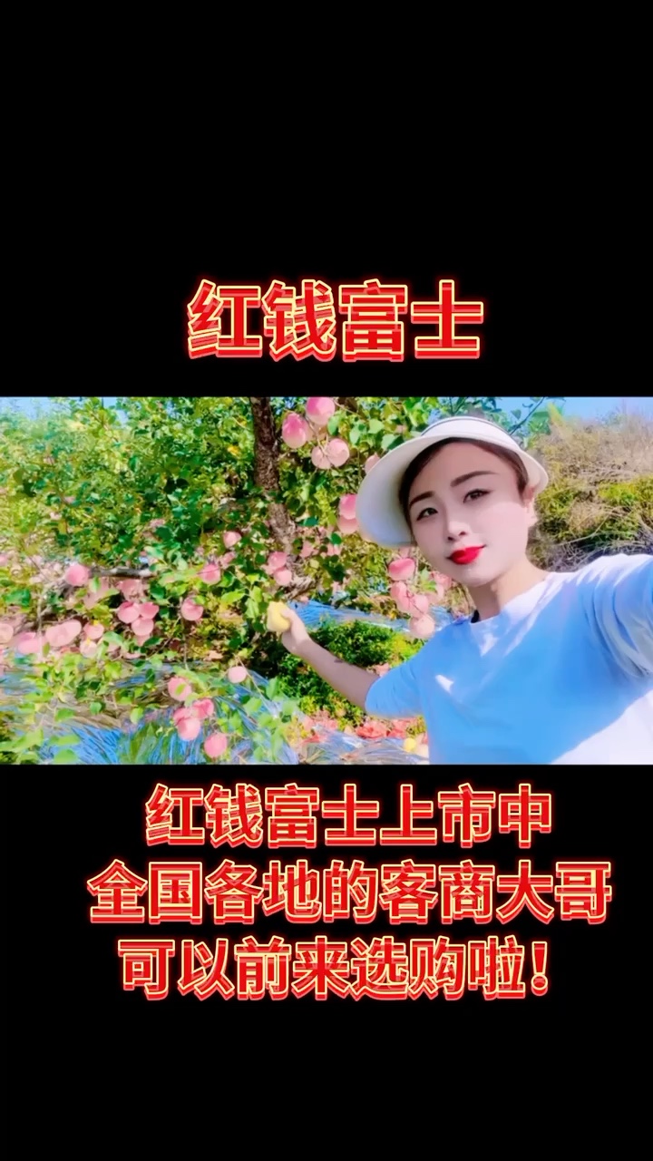 红钱富士红星