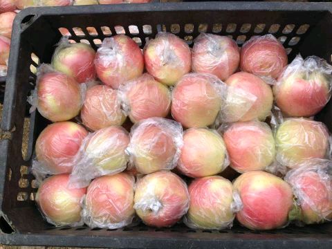 山东苹果产地大量供应