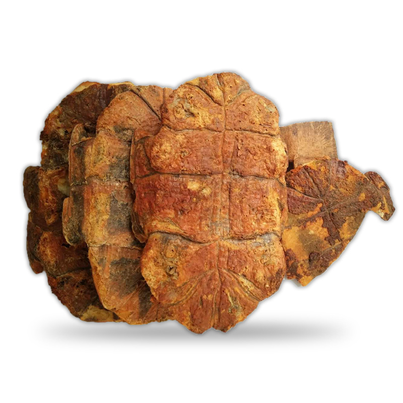 包邮醋大龟板批发炙带皮龟板甲玉林材市场大货龟条养生可免费打粉