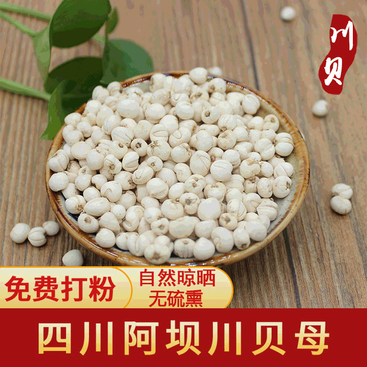 中药材批发干川贝母 珍珠粉包检验 帮忙磨粉贝母怀中抱月