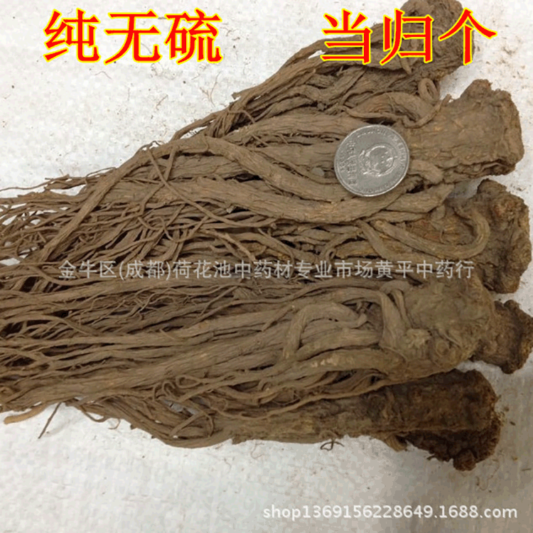 中药材批发 甘肃特产岷县当归 大条 当归个