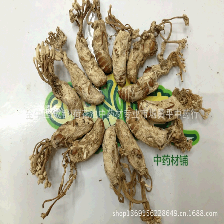 厂家批发四叶草中药材批发 金蝉花 土蝉花