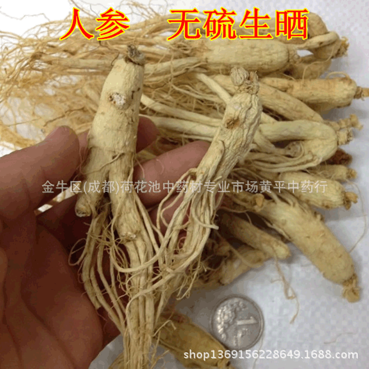 厂家直销各类批发中药材植物原药材人参 生晒参白参 现货批发