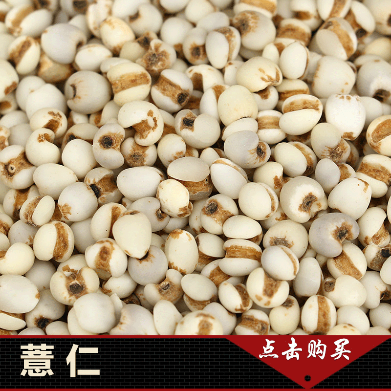 贵州小薏仁米 药食两用 薏苡仁 中药材批发量大从优