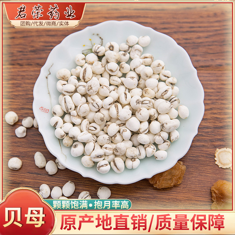 量大从优 中药材批发贝母 川贝母 各种规格承接大货贝母可磨粉