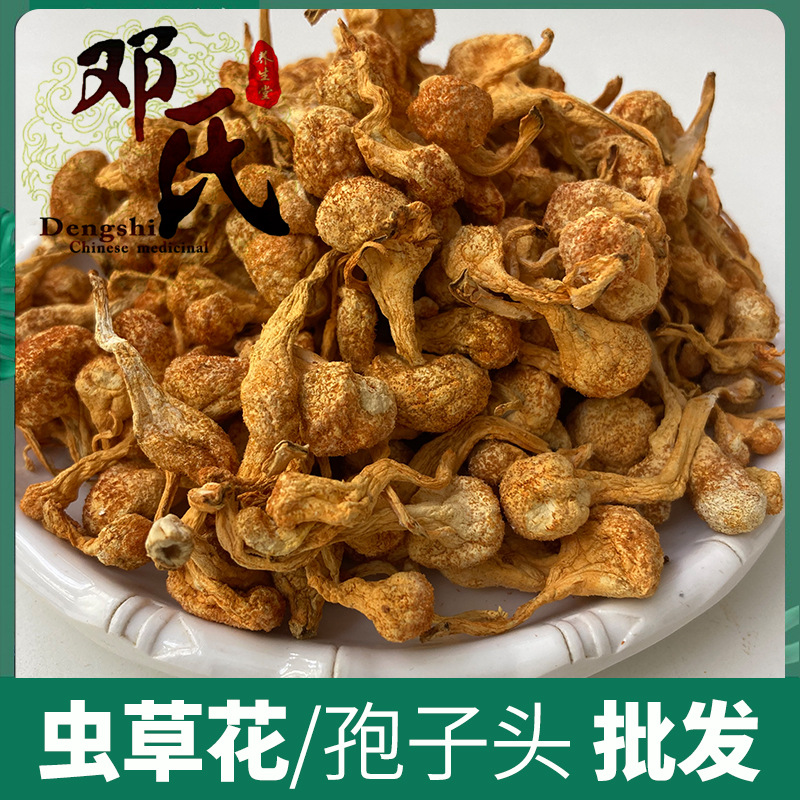 现货虫草花食用菌干货 金虫草 大孢子头 煲粥煲汤材料 中药材批发