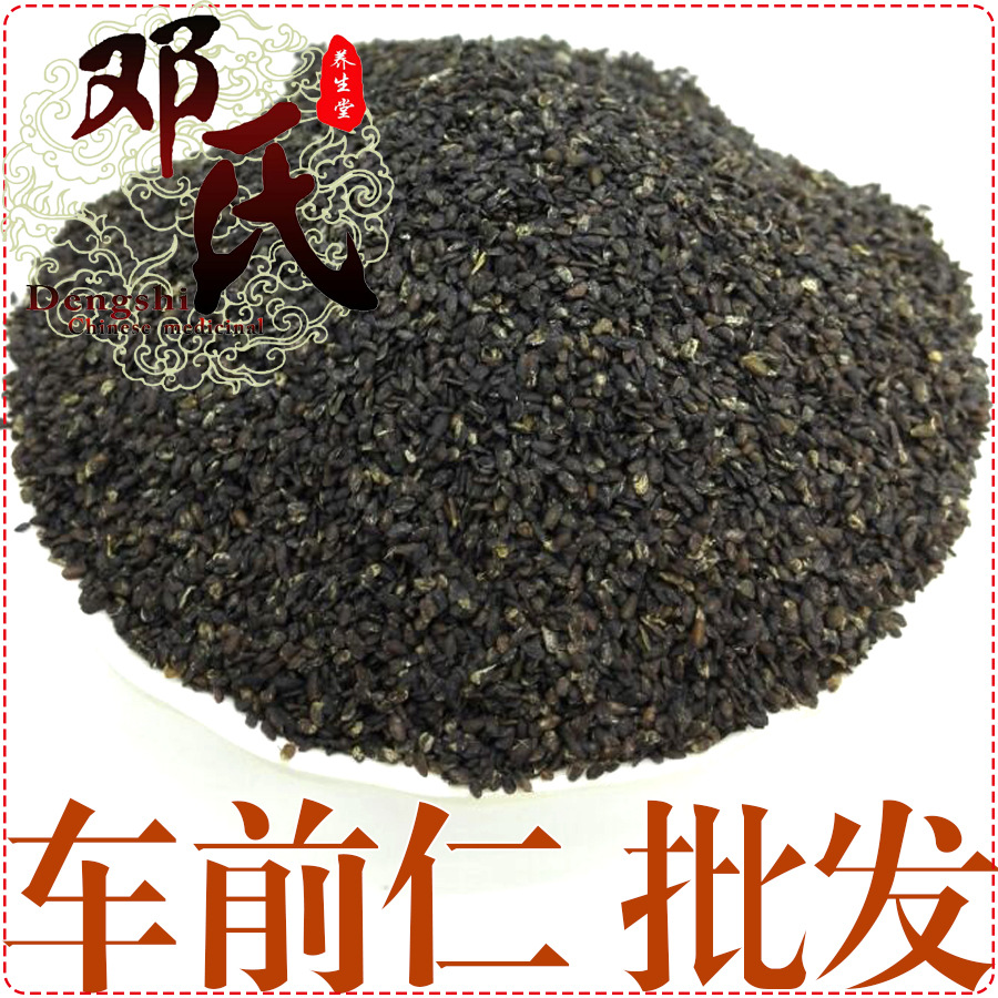 新货车前子500g 车前仁 车潜籽批发零售 邓氏中药材批发