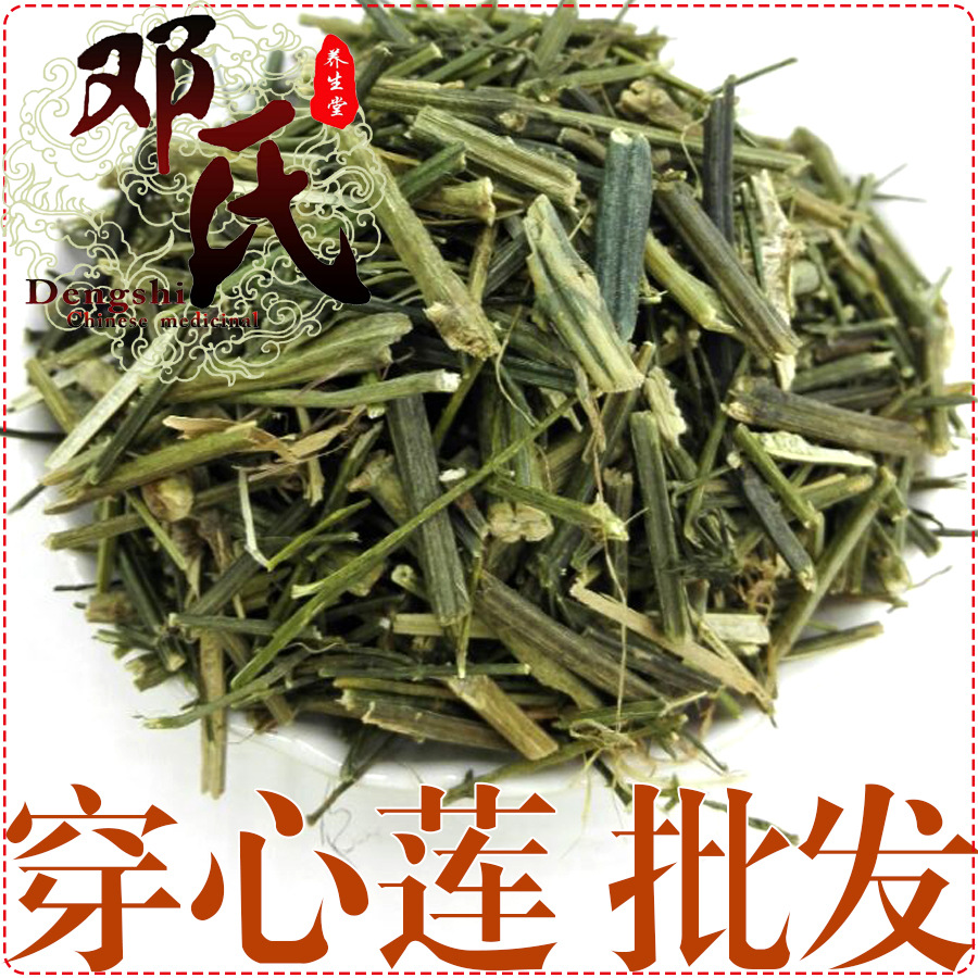 穿心莲统货散装批发川心莲产地直供金耳钩中药材批发苦胆草