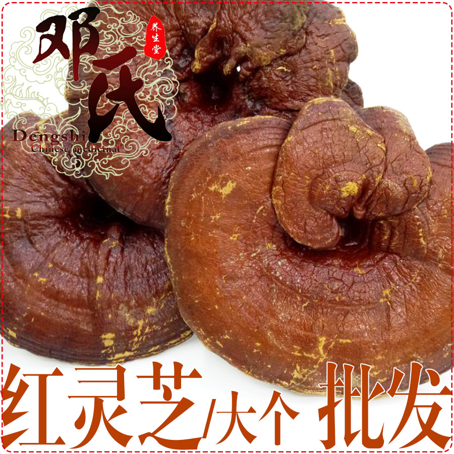 红灵芝大个选货赤灵芝散装批发产地直供邓氏中药材批发