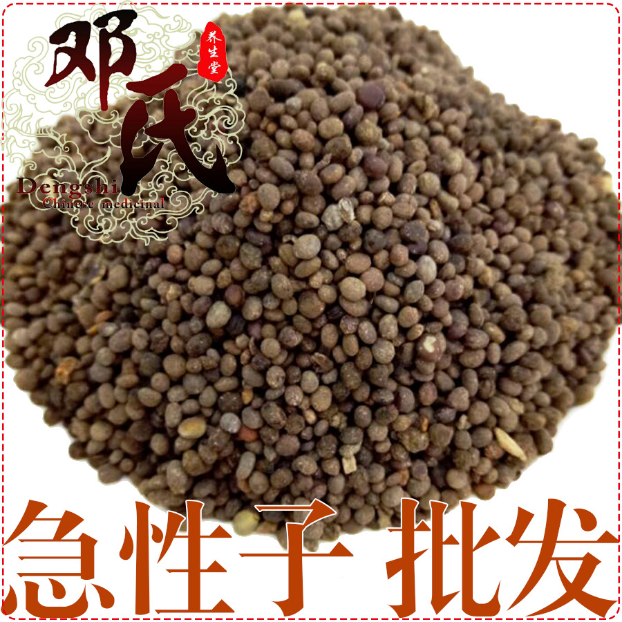 急性子统货散装批发凤仙花子产地直供邓氏中药材批发