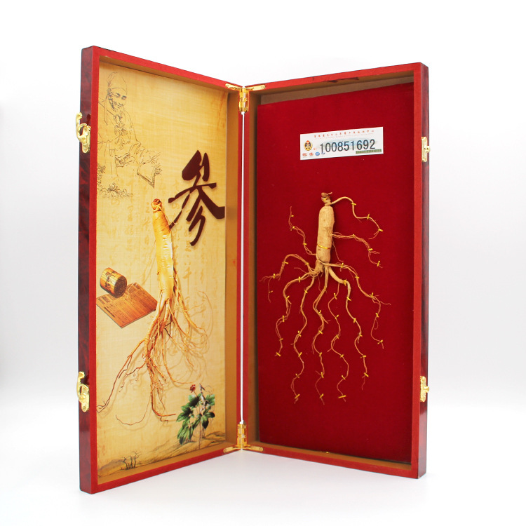 吉林长白山人参礼盒 东北吉林人参 长白山林下参 人参礼盒单支装