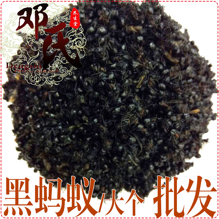 黑蚂蚁 大个 选货  产地直供 邓氏中药材批发