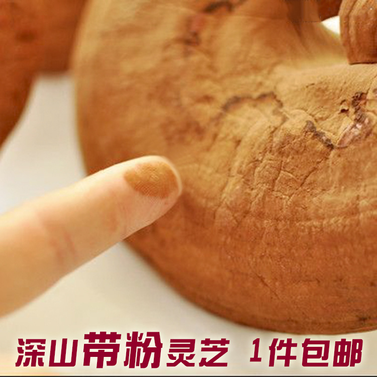 长白山灵芝带灵芝粉 东北赤灵芝长白山深山赤灵芝泡酒灵芝批发