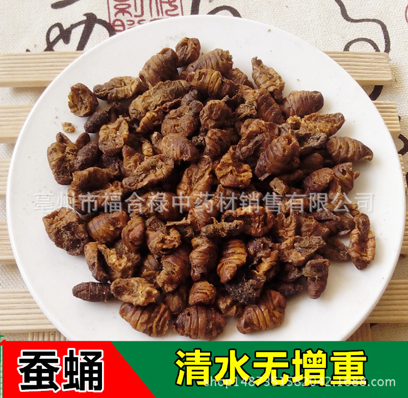 中药材 蚕蛹  蚕蛹干 代磨蚕蛹粉中药材亳州市场批发