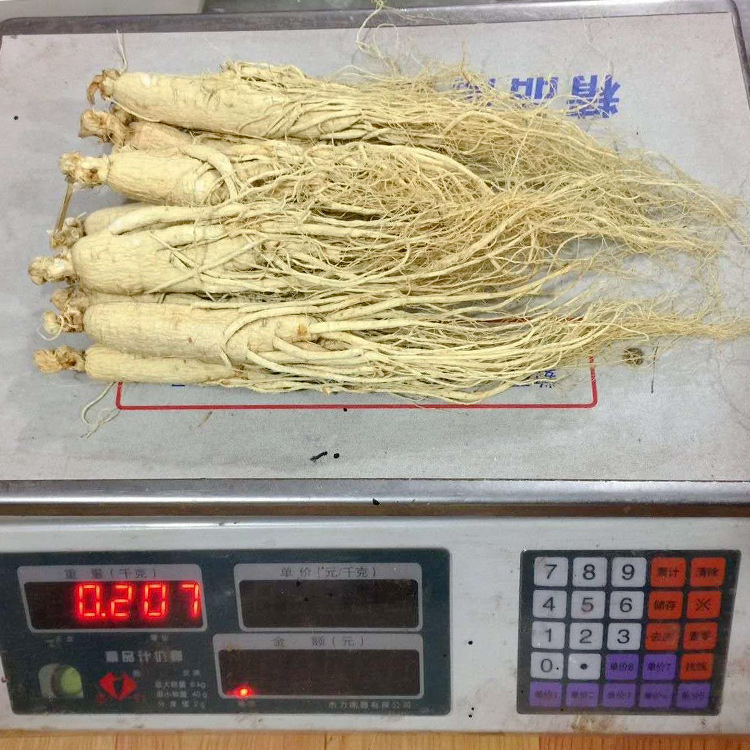 批发吉林干人参 白参散装 生晒参20个头一斤 长白山人参原皮参