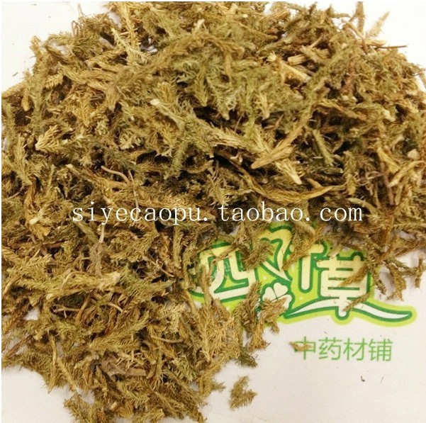 供应中药材批发伸筋草石松 狮子草舒筋草保证支持验货
