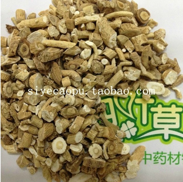 四叶草中药材批发 板蓝根茶  板蓝根段 板蓝根块 甘肃板蓝根