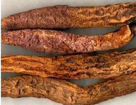 中药材批发 内蒙古  大锁阳  选装大条锁阳