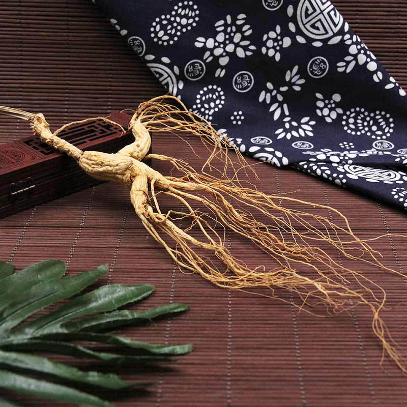 东北林下人参吉林长白山人参东北人参东北林下参单支装