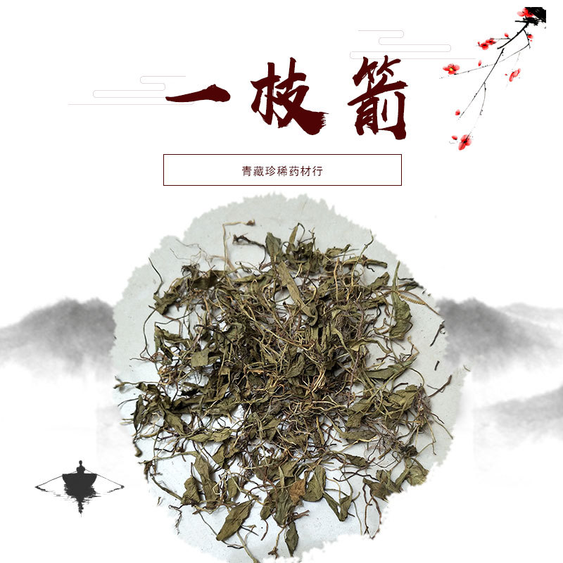 一支箭中药材批发散装瓶儿草一枝箭青藤蛇咬子蛇须草一枝剪100g