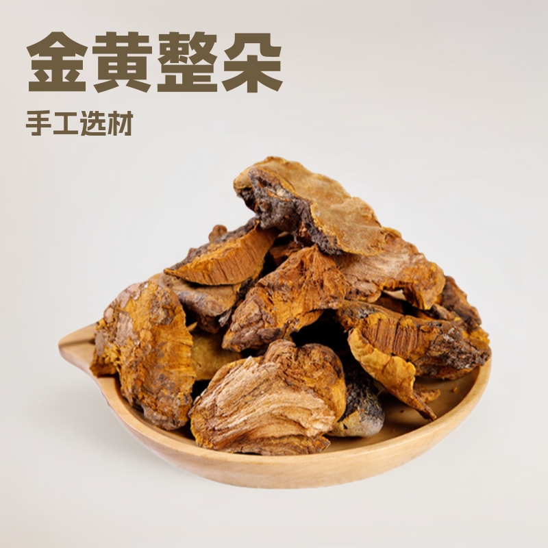 西藏正宗足龄金黄整朵煮水泡酒批发代发250g传统滋补灵芝桑树桑黄