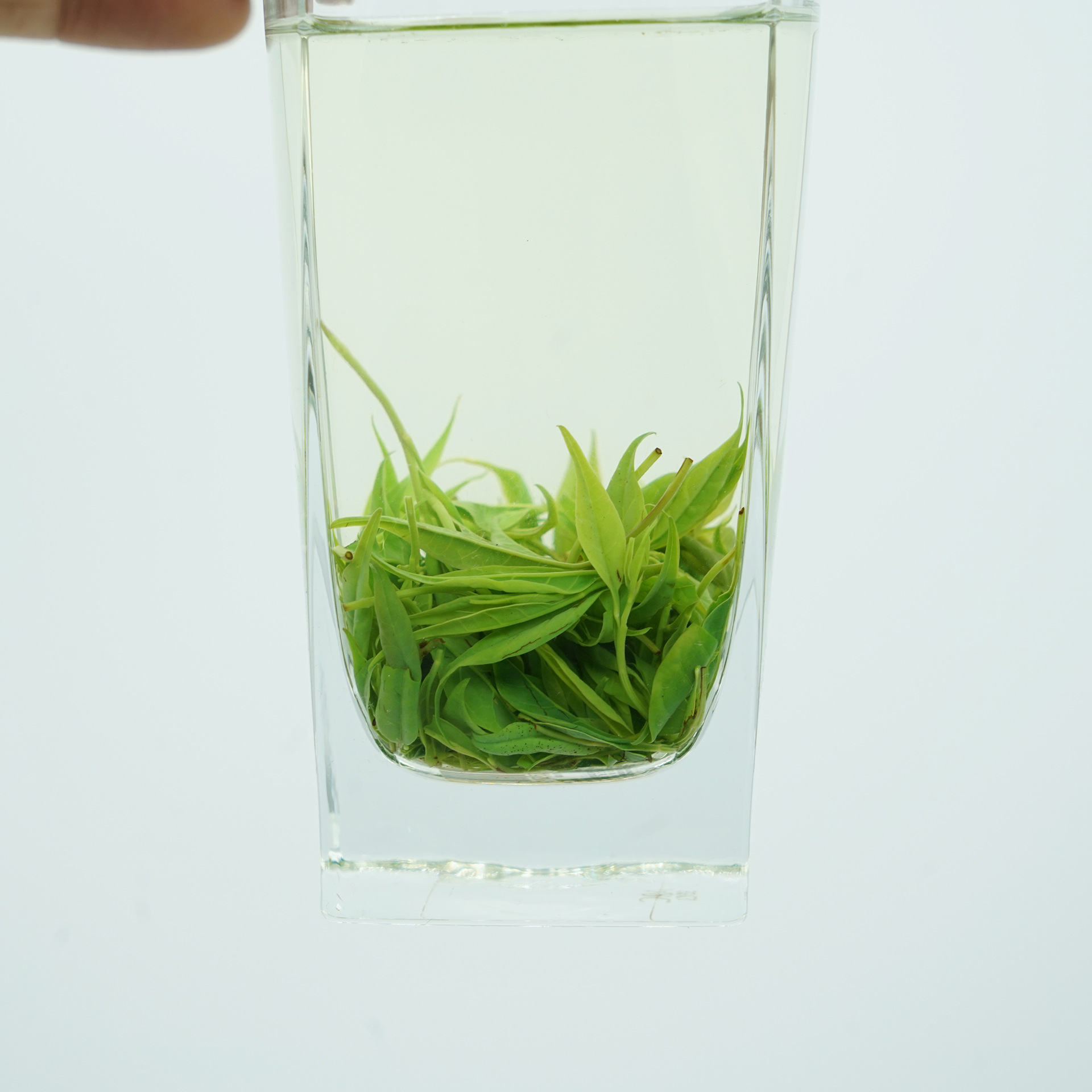 2026新茶四川高山绿茶 绿水青山苦丁茶 清热解暑春茶茶叶市场批发