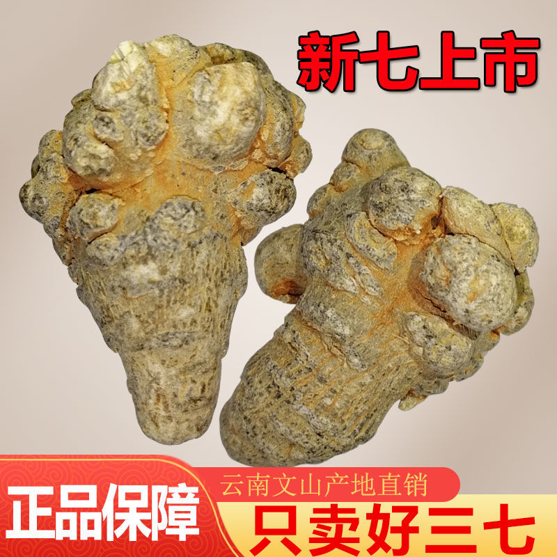 【包邮】云南文山20头三七材非野生片500g鲜田七粉