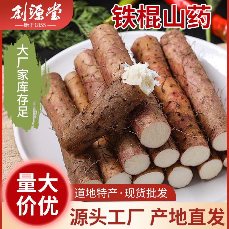 厂家批发新鲜铁棍山药河南特产垆土铁棍山药温县铁杆怀山药棍5斤