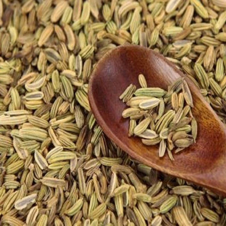 藏茴香（ 郭娄子）现货供应批发优选中药材药草