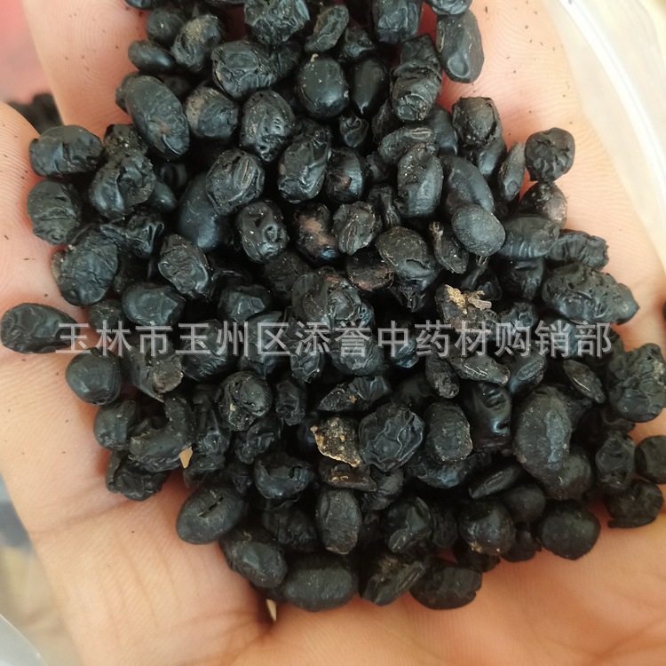 中药材 淡豆豉 香豉 淡豉 广西批发市场货源