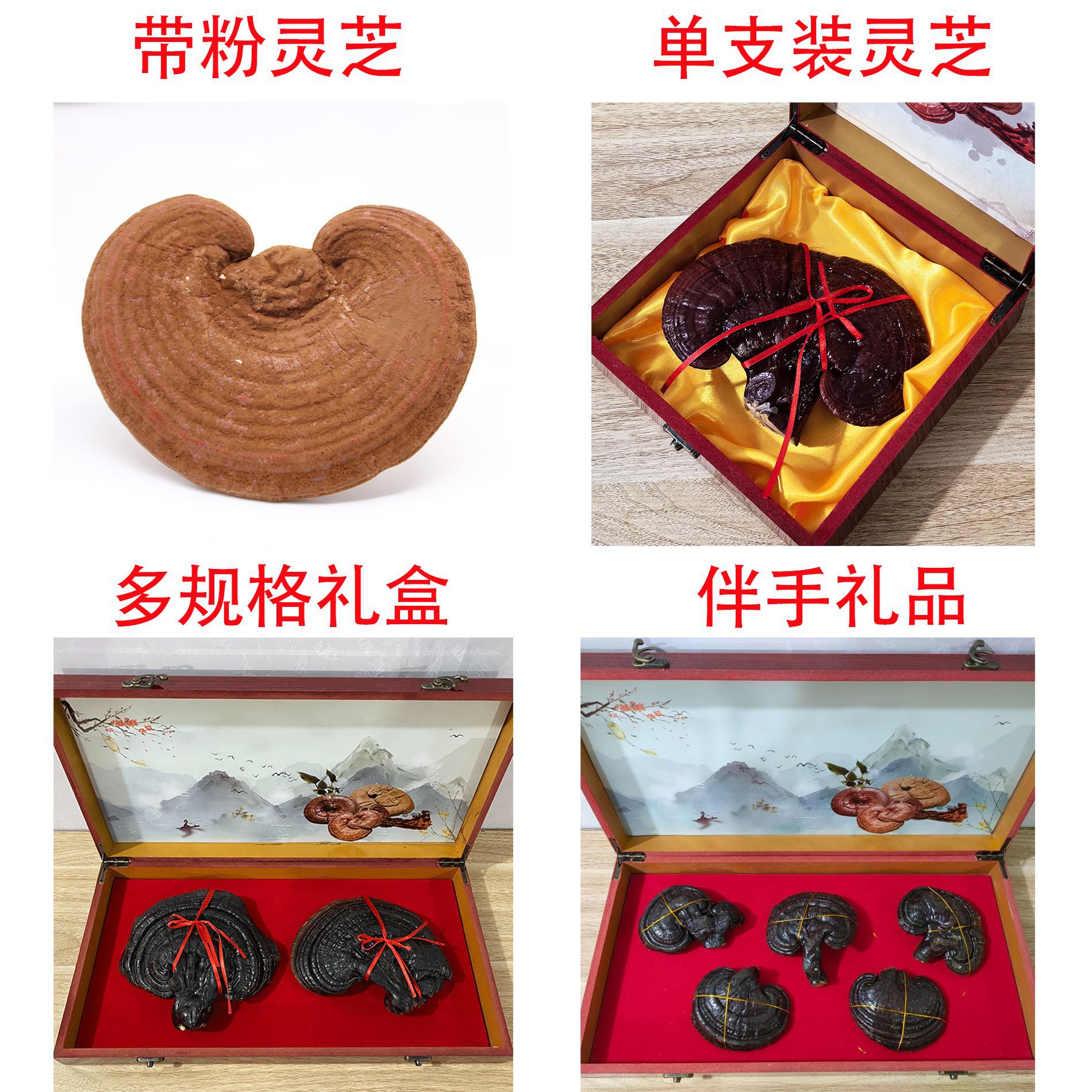 长白山灵芝 紫灵芝带粉灵芝 灵芝片 灵芝礼盒批发散装 礼盒装灵芝