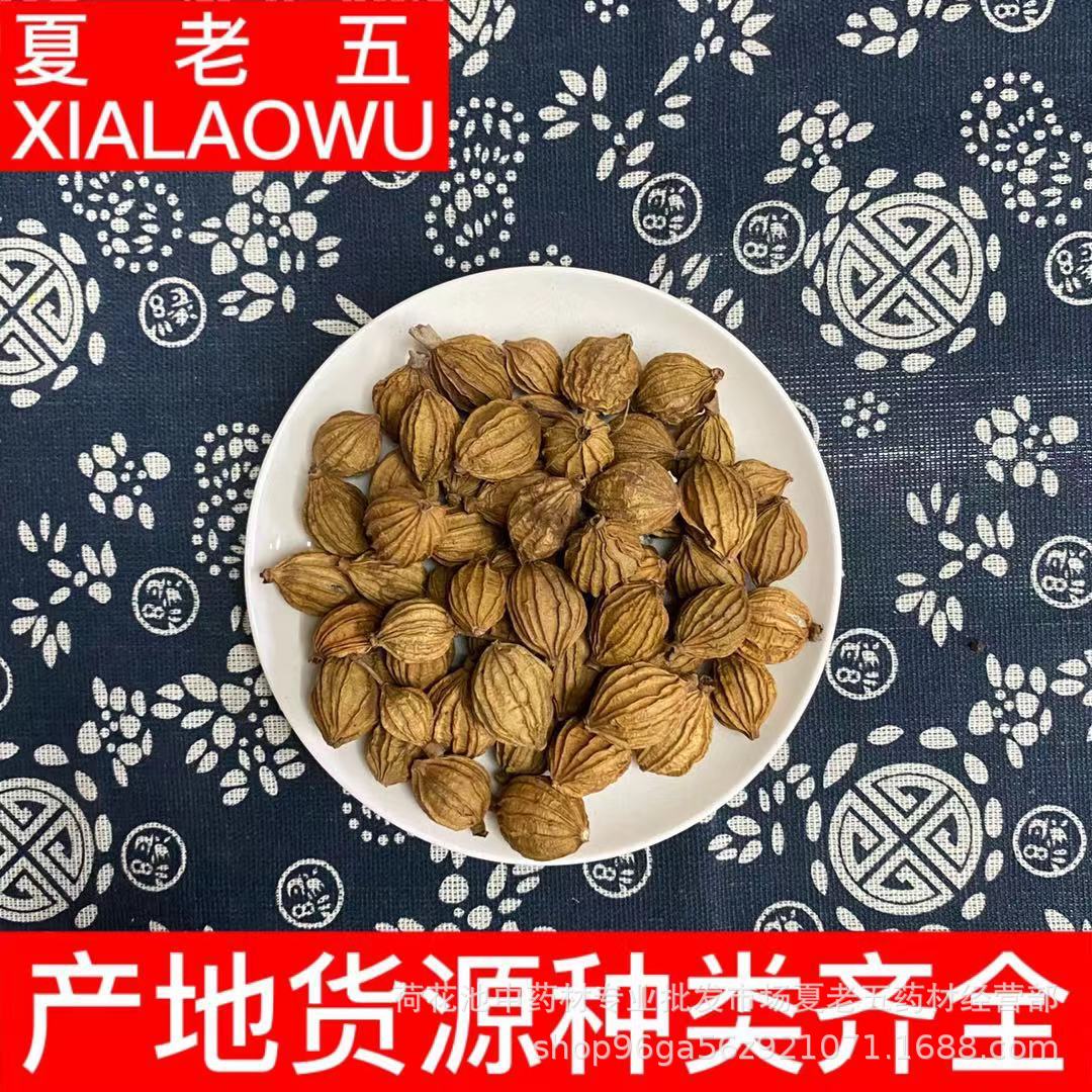 产地货源中药材批发 四川川砂仁优选足干香砂仁500g卤菜炖肉调料