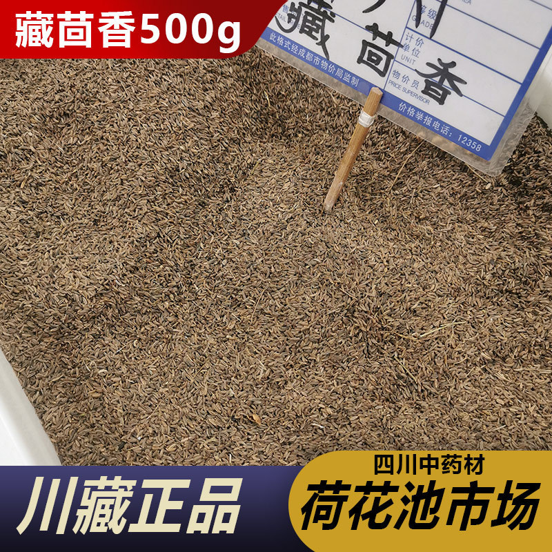 藏茴香高原药材葛缕子 葛娄子 藏茴香 茴芹子葛缕籽葛篓子西餐