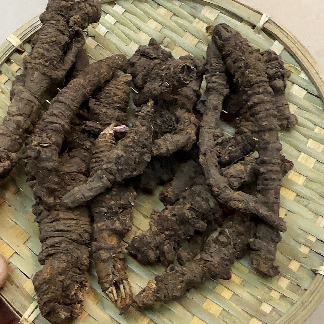 蚕羌四川产地货源  中药材批发规格齐全 量大价优