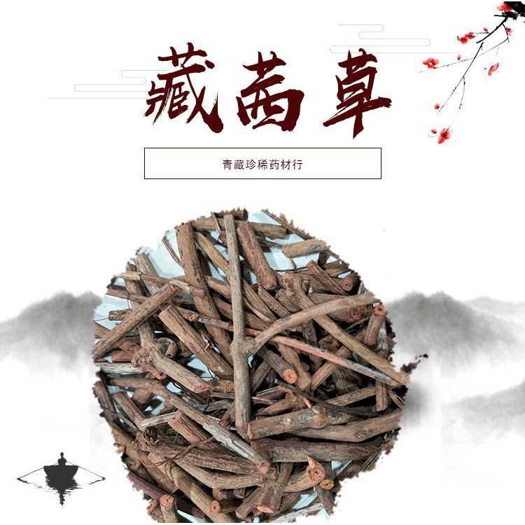 成 都藏茜草批发 基地种植中药材 厂家优质供应