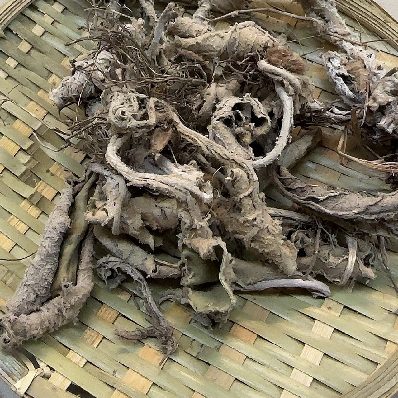 岩白菜西藏产地货源 蓝花岩陀 中药材批发 规格齐全 量大价优