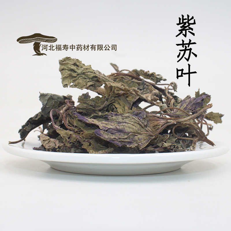 中药材批发 紫苏叶 紫苏  现货求购 河北安国中药材市场