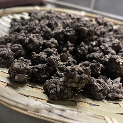 猫爪草河南产地货源 猫爪儿草三散草 中药材批发 量大价优