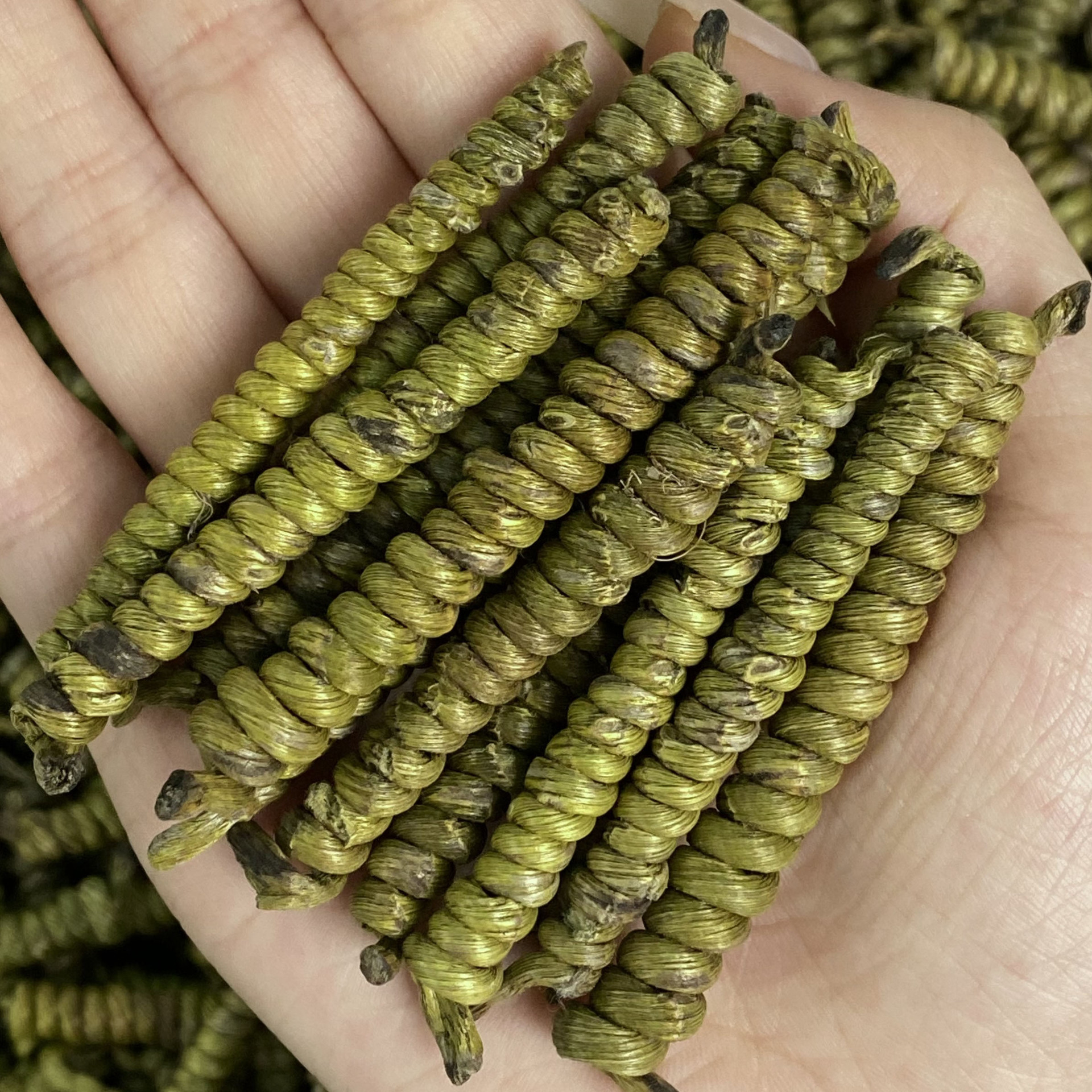 霍山龙头凤尾长款石斛 铁皮石斛枫斗批发天赐珍藏滋补品送礼代发