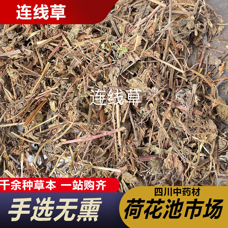 连线草大透骨消草天然中药材驳骨消见肿消连线草金钱薄荷连钱草