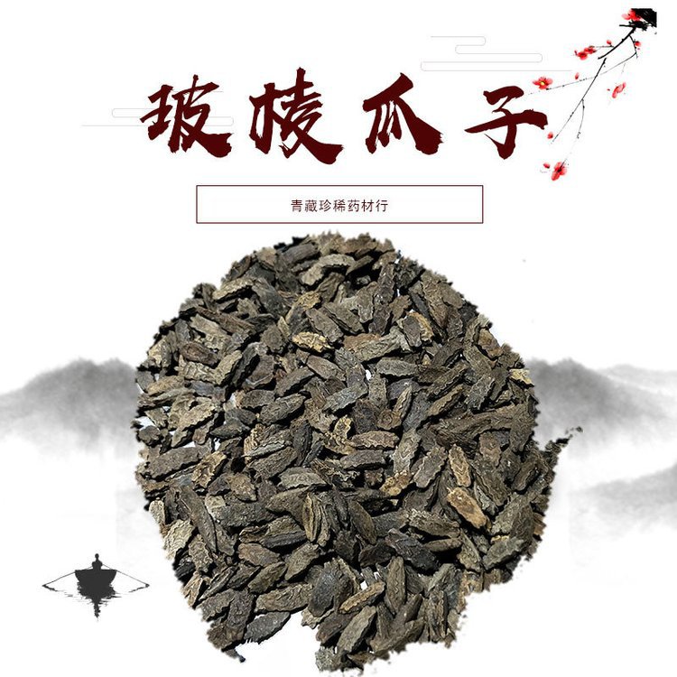 厂家求购批发波棱瓜子中药材现货批发