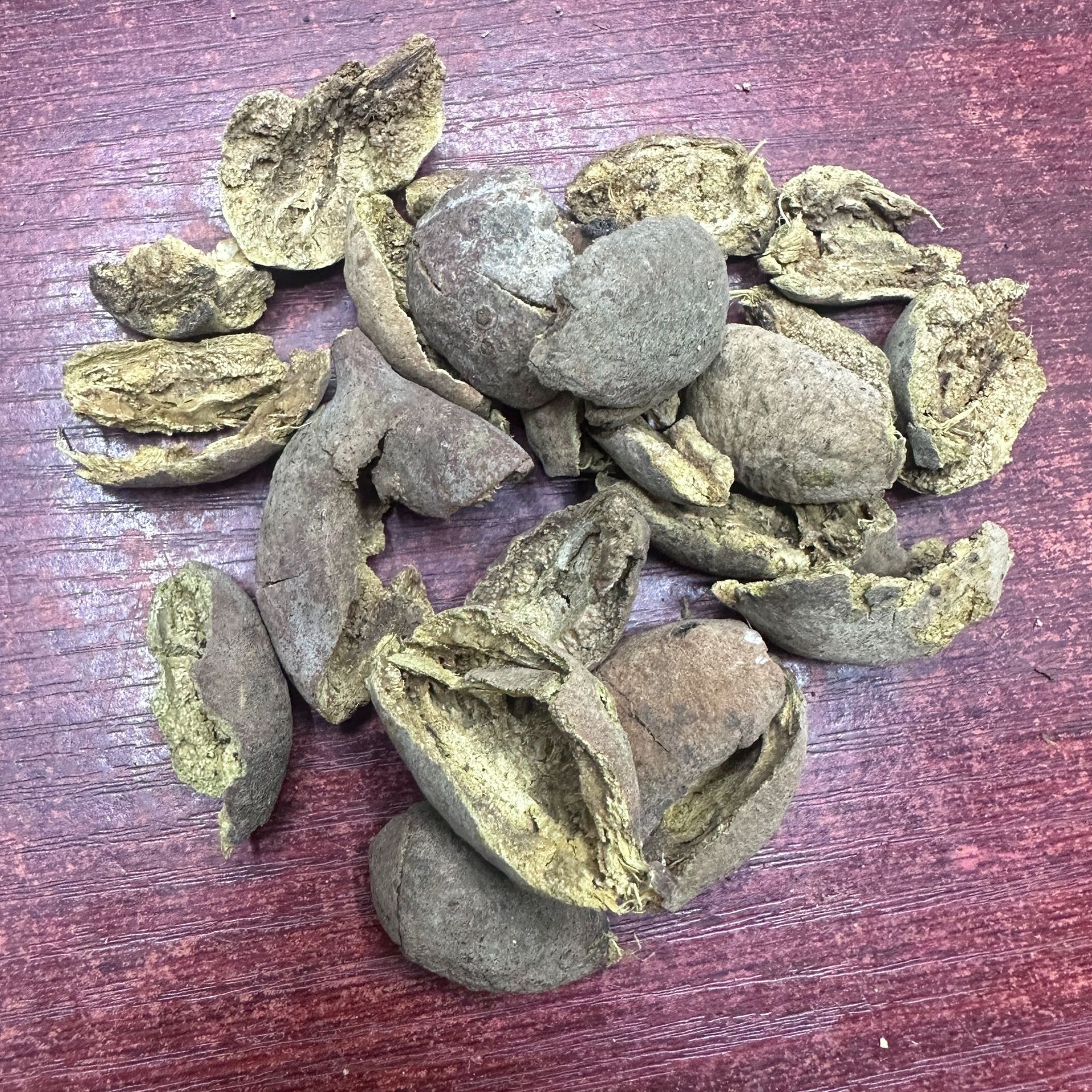 批发中药材张毛诃子肉量大从优