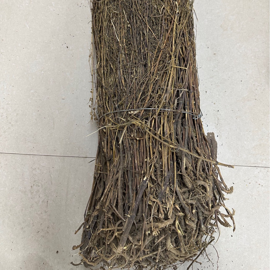 藏茵陈西藏产地货源 贾斗 川西獐牙菜 中药材批发  量大价优