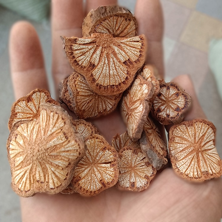 红藤 大血藤 赤藤 大血通 花血藤 晒干切片 广西 中药材市场批发