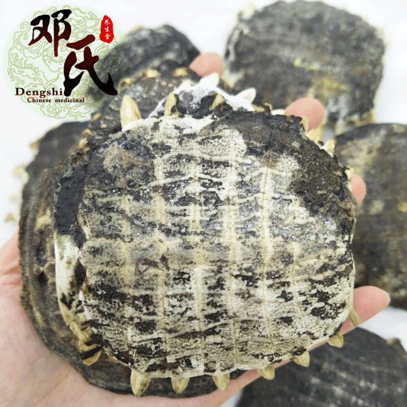 中药材批发鳖甲500g 选货 生鳖甲散装零售规格齐全量大从优可代发