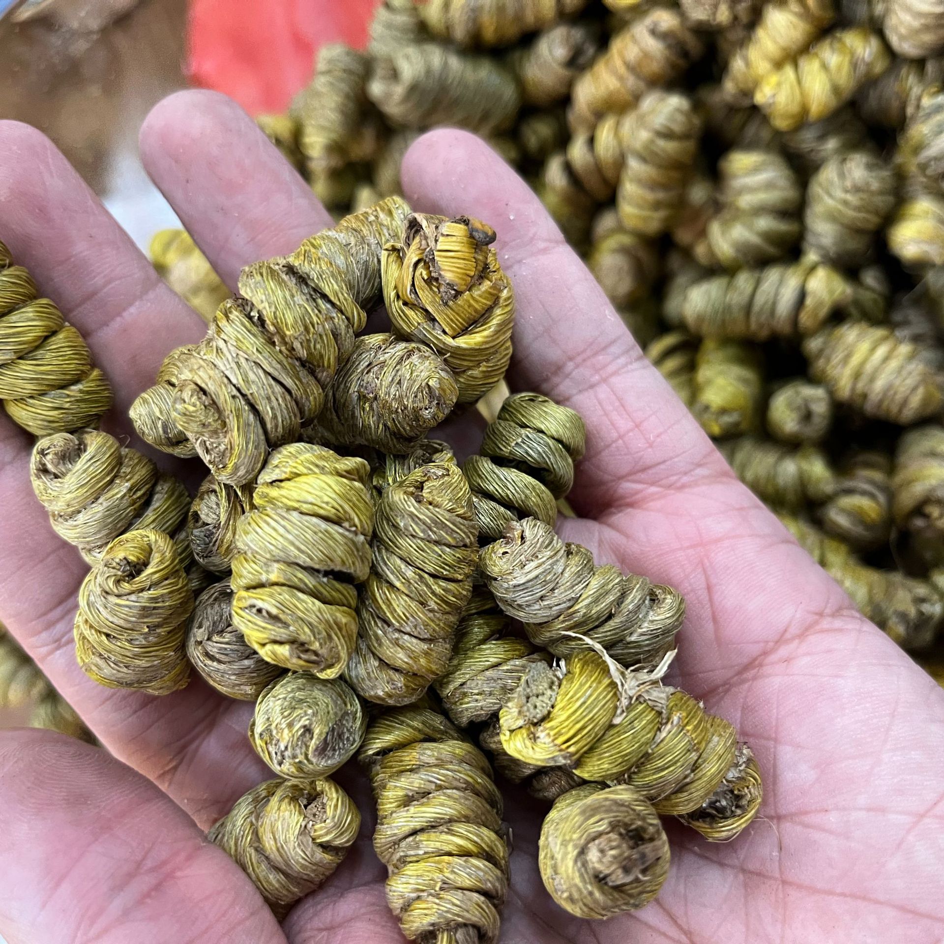 批发 2.2规格大铁皮石斛枫斗500g 石斛 安徽霍山铁皮石斛全国代发