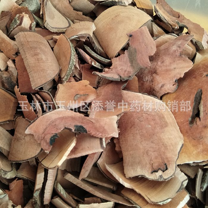 中药材漆大姑根 大毛漆 毛七哥 七大姑 毛果算盘子根广西批发市场